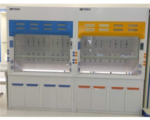 玻璃鋼通風(fēng)柜 實驗室通風(fēng)系統(tǒng)