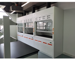 玻璃鋼通風(fēng)柜 實驗室通風(fēng)