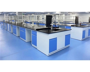 全鋼中央臺(tái) 實(shí)驗(yàn)室工作臺(tái)