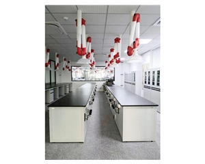 實(shí)驗(yàn)室供氣系統(tǒng)—集中供氣